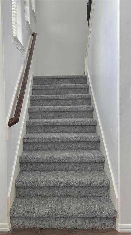 New carpet on stairs