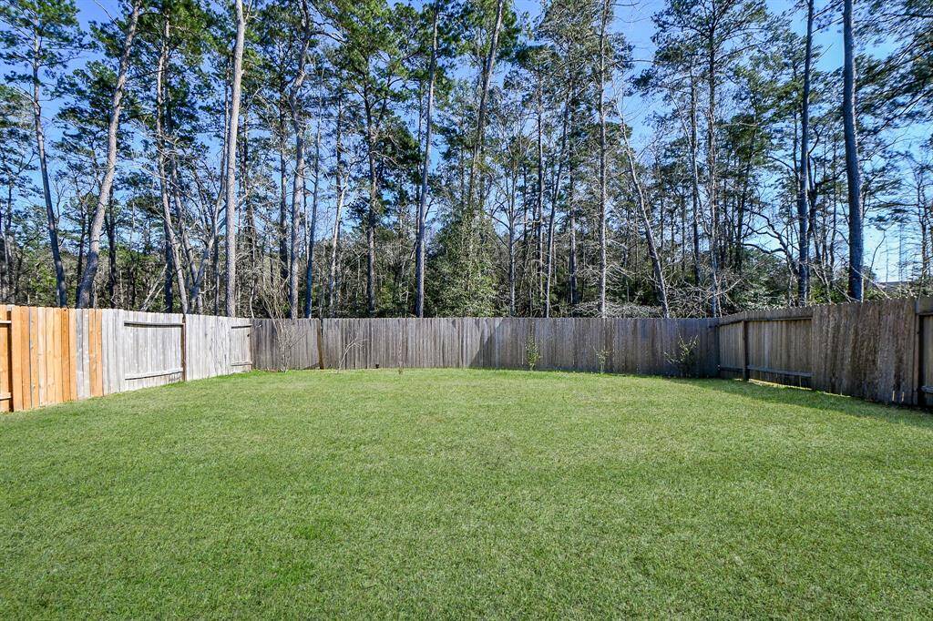 Spacious fenced backyard with lush grass, surrounded by tall trees, offering privacy and a natural backdrop. Ideal for outdoor activities and relaxation. Owner has a screen and often does outdoor movie nights!