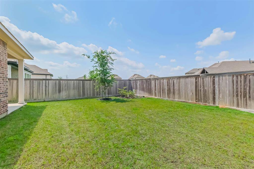 Backyard features plenty of space for recreation or playtime with pets.