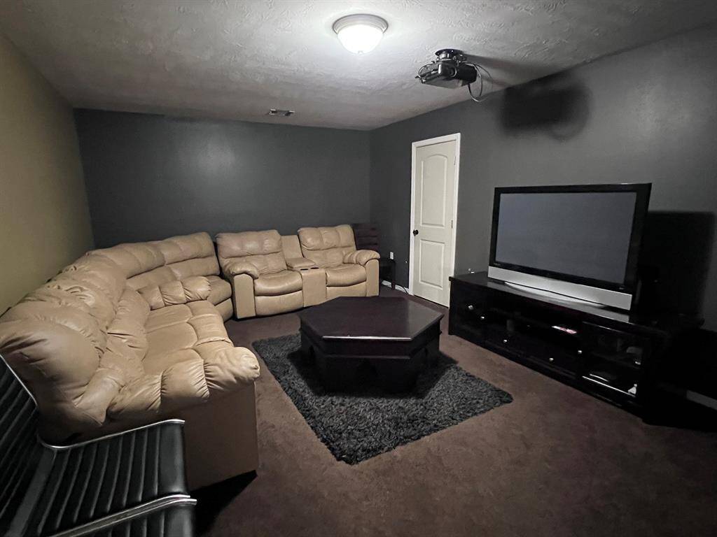 Media room screen