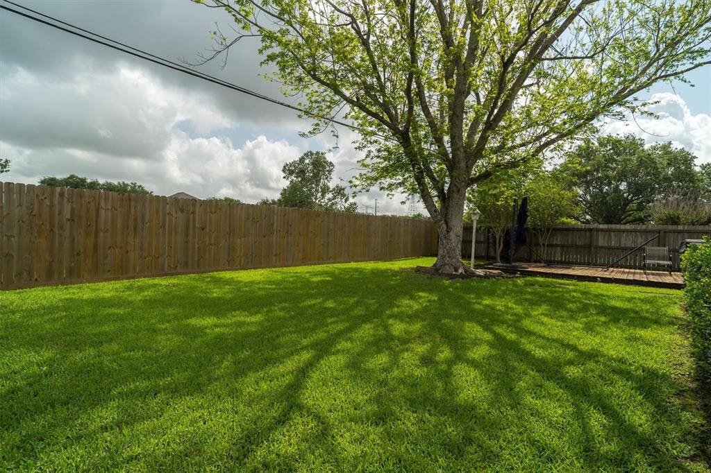 LOVE THIS HUGE BACKYARD