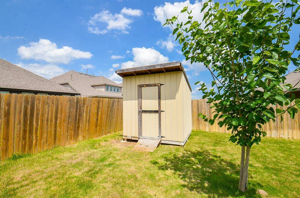 What a sublime green 'mural' right in your own backyard.
