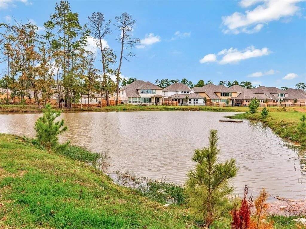Pond View