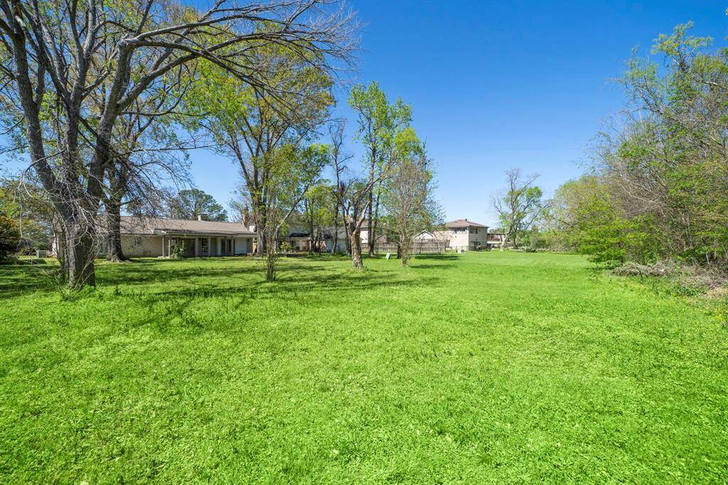 Backyard greenery