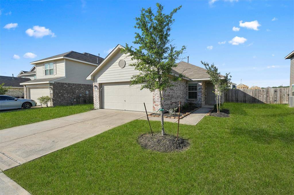 Beautiful front yard