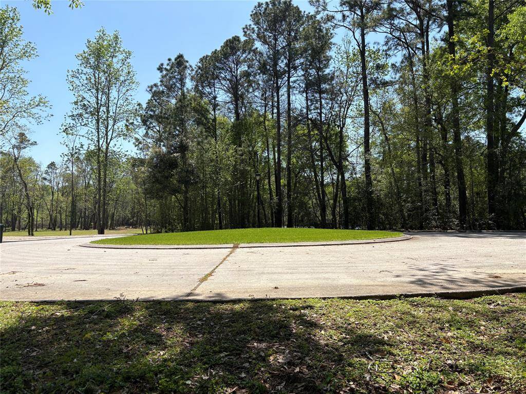 View From the Lot