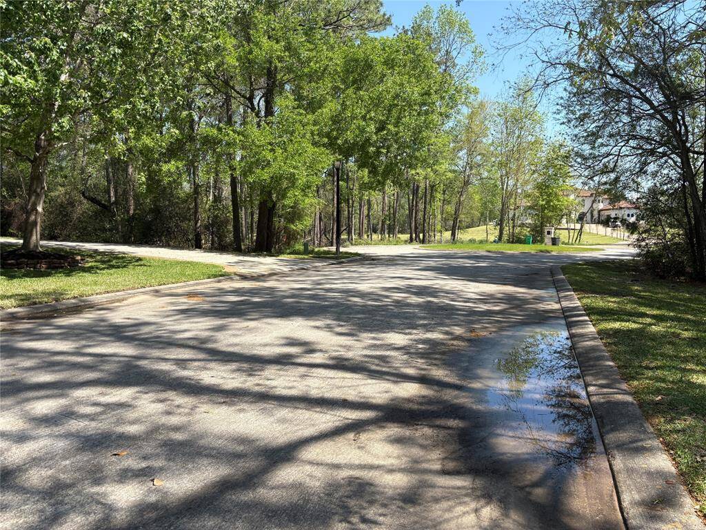 Pallavi Woods Dr