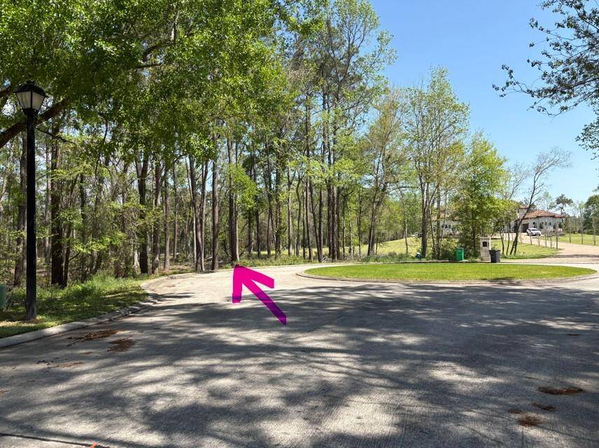 14 Pallavi Woods Dr