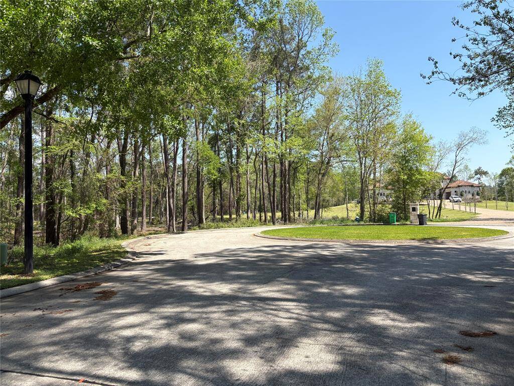 14 Pallavi Woods Dr