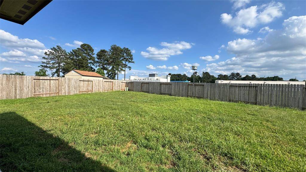 Large quiet backyard