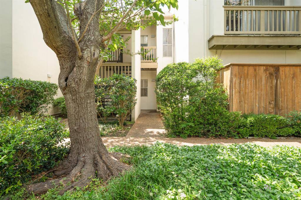 This wide, well-maintained landscape features a winding concrete pathway is surrounded by lush green grass, neatly trimmed bushes, and towering trees.