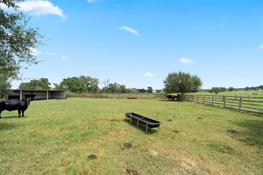 Cross-fenced pastures with shade trees and run-in shelters support rotational grazing and responsible animal care—tenants must maintain fencing and are responsible for manure management as part of lease terms.