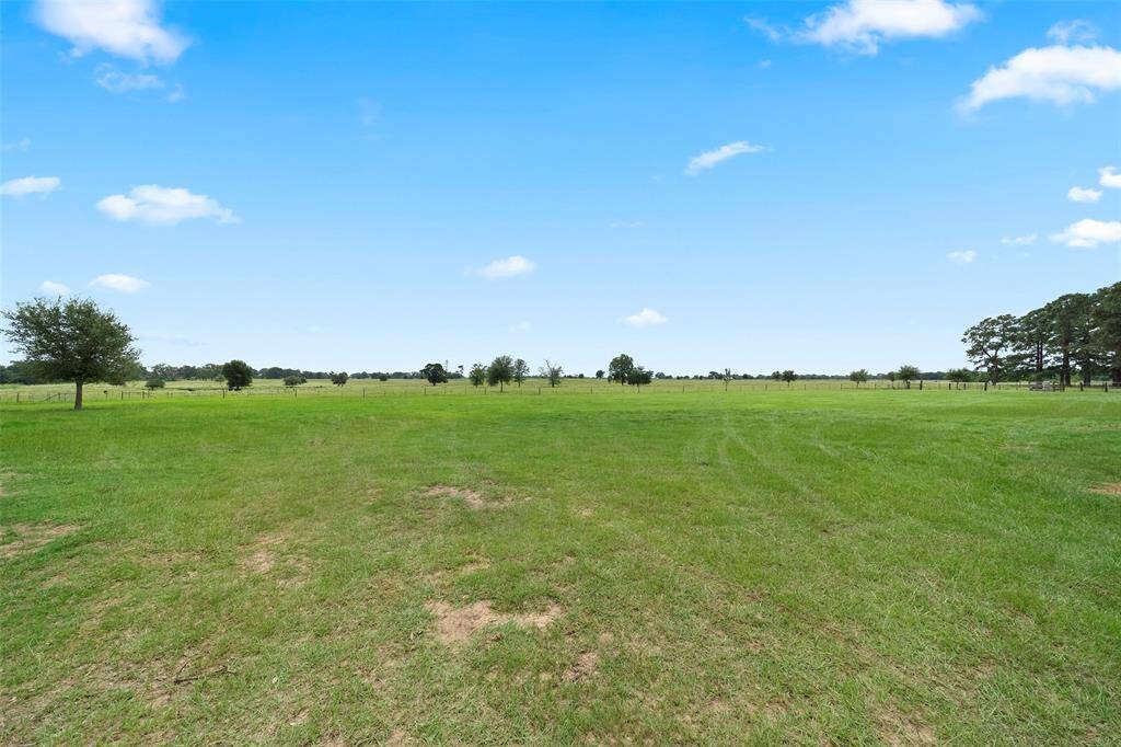 Expansive and well-fenced, these pastures offer plenty of room for grazing. Tenants must ensure livestock access to clean water and maintain appropriate pasture care throughout the lease term.