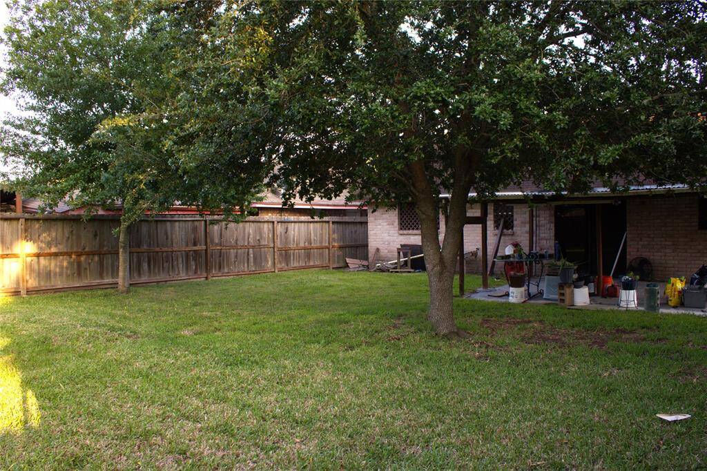 Large Backyard