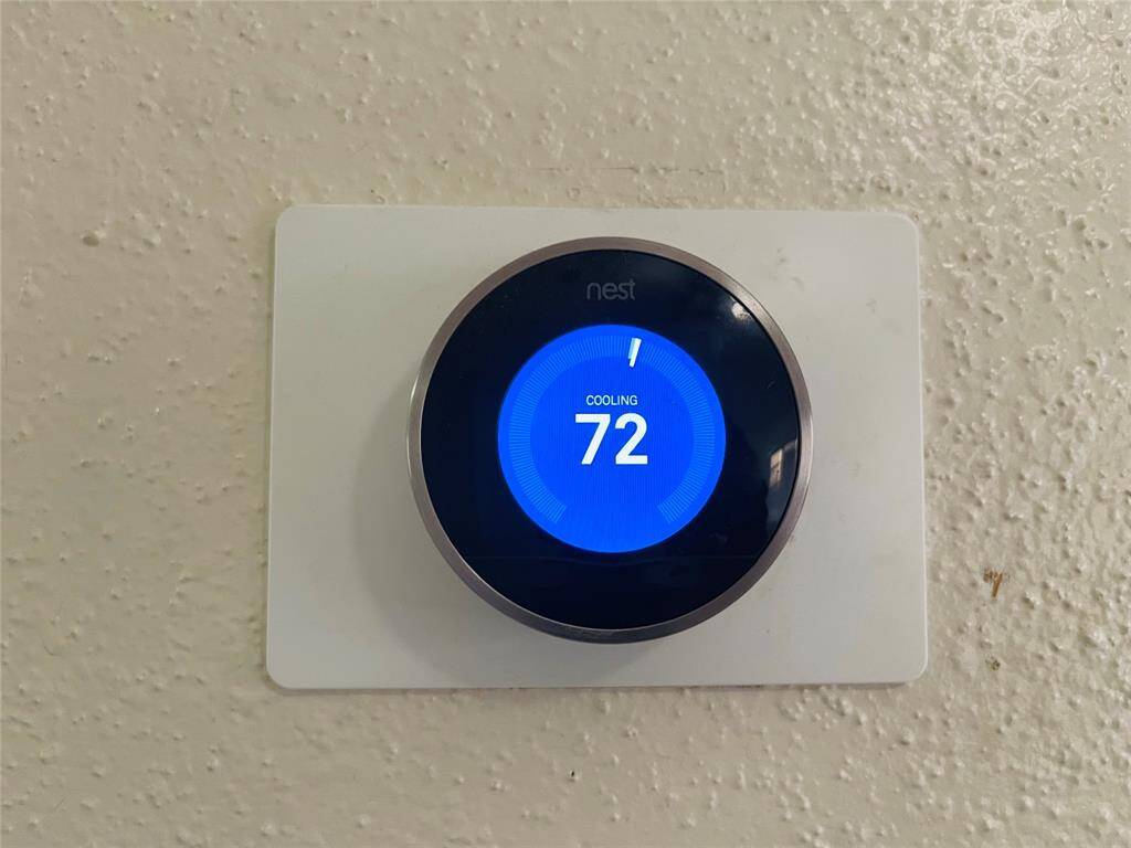 Nest