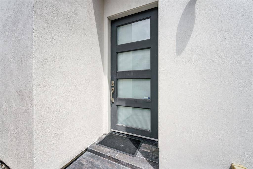 Modern entryway with a sleek dark-framed door featuring frosted glass panels, set against a light-colored wall.