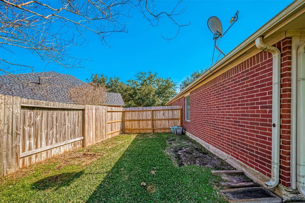 Backyard 7