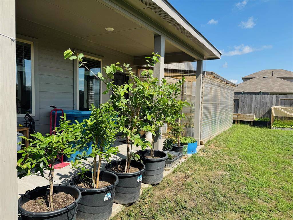 As you step into the backyard, a world of nature beauty possibilities unfolds.