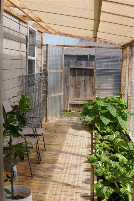 Look how beautiful of the greenhouse!!!