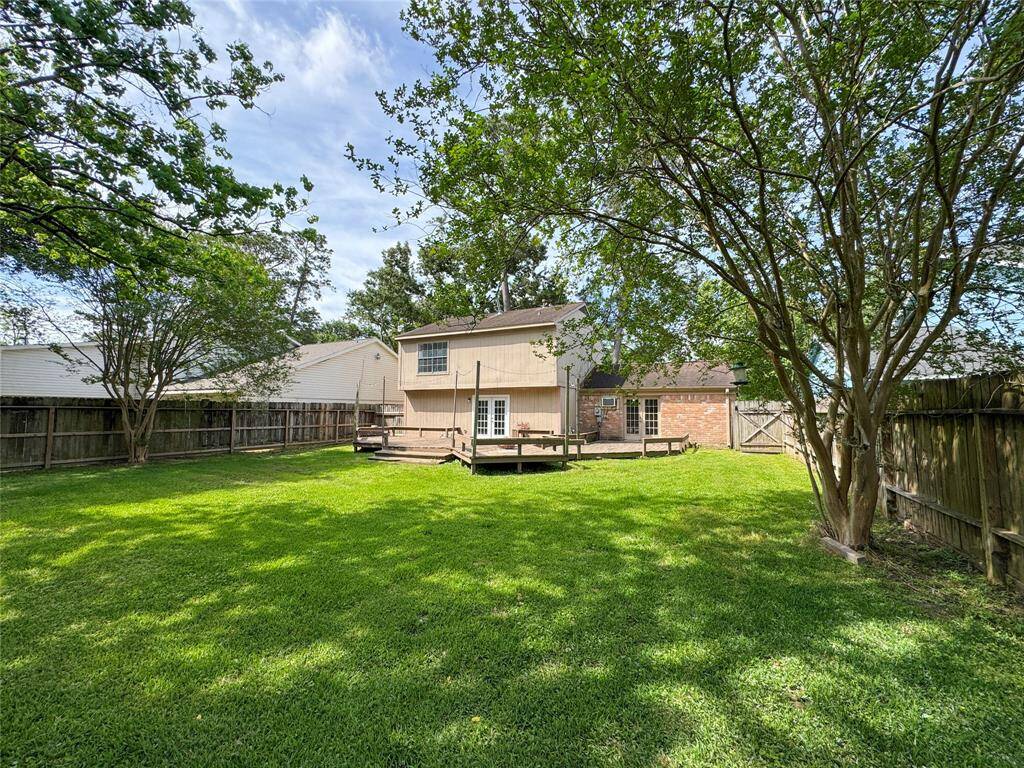 Back Yard