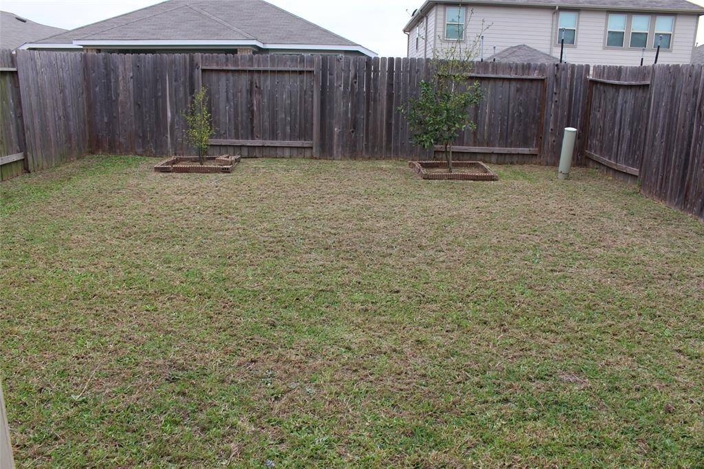 Expansive backyard perfect for relaxation and outdoor activities.