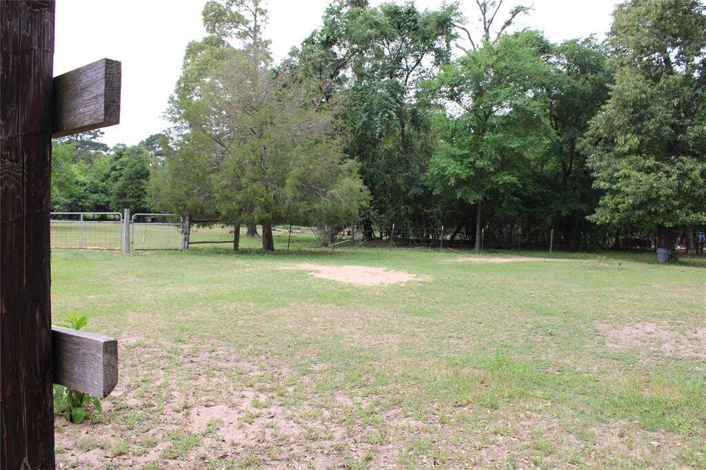 Open pasture