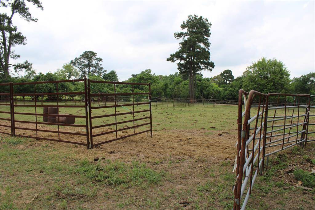 Arena for horses