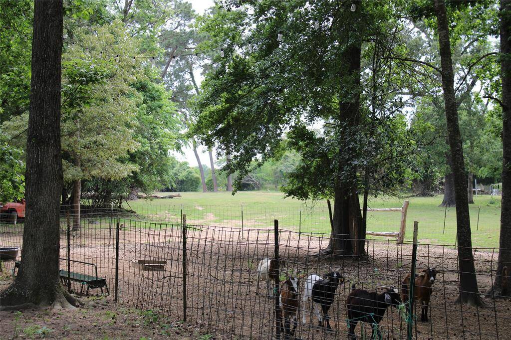 Cross fenced for livestock