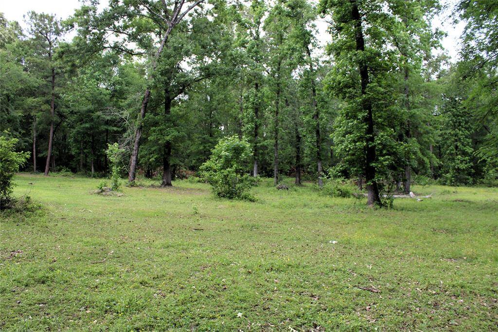 Open areas for entertainment