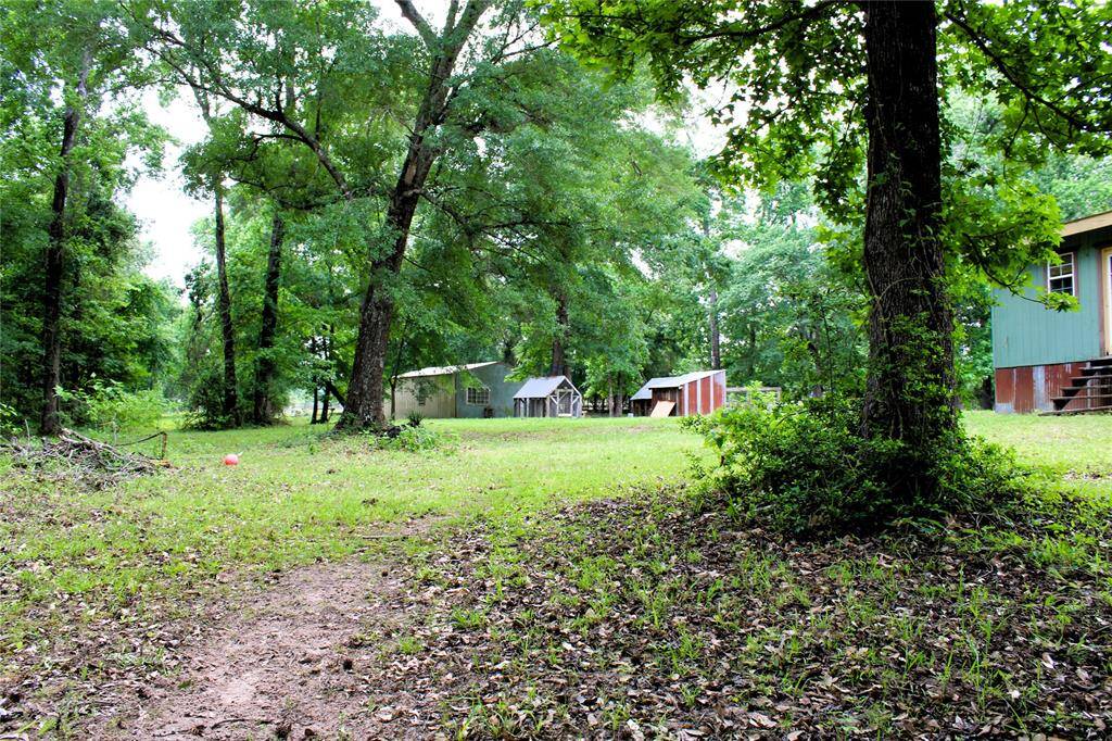 Shady areas for a picnic table