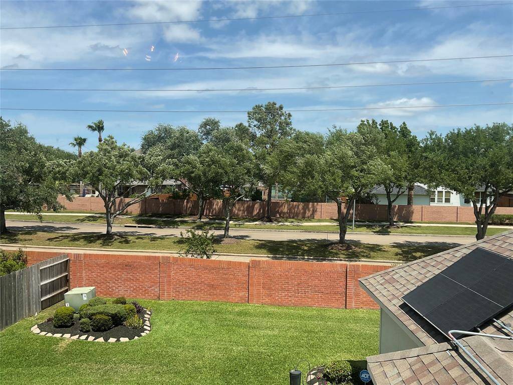 Backyard view
