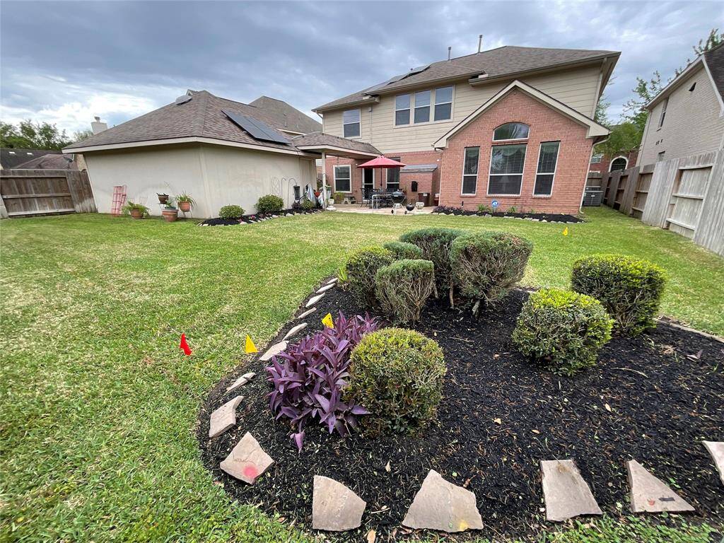 Landscaped backyard
