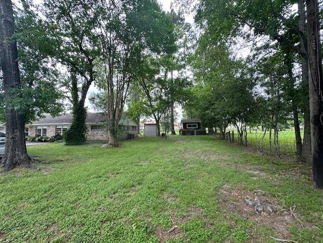 Right Side of Home Yard Shed