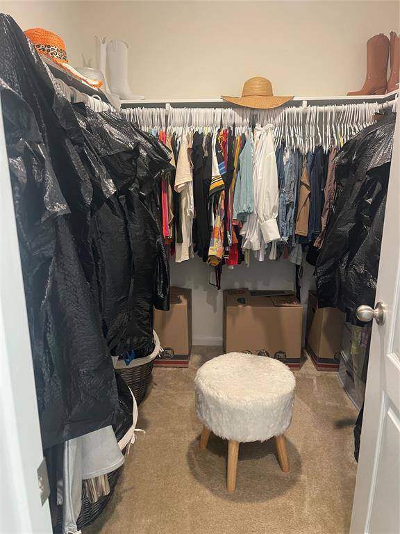 Primary closet #1