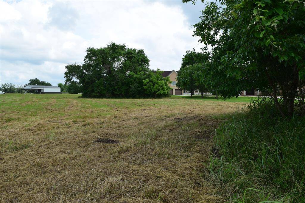 Back of the property