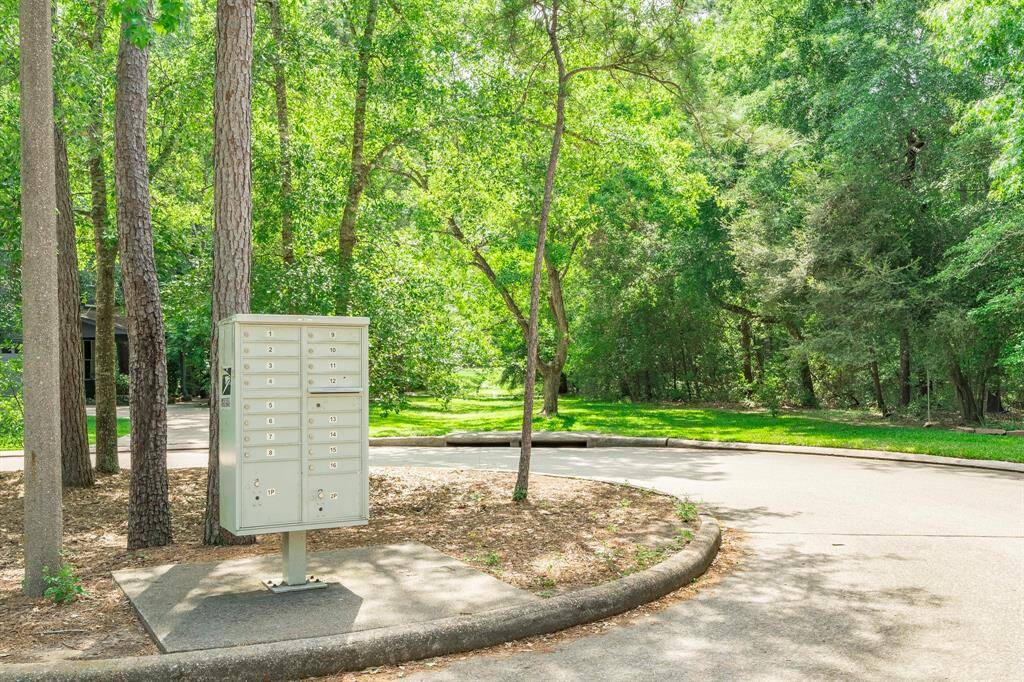 Look just beyond your cul-de-sac's mailbox and you will find lovely and lush trails to enjoy! Natural beauty, straight ahead!