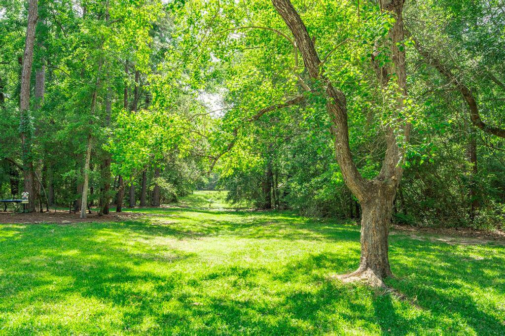 Verdant trails beckon you to enjoy what is truly The Woodlands.