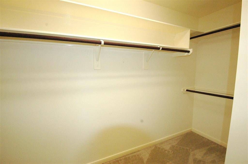 Large walk-in closet in master bedroom