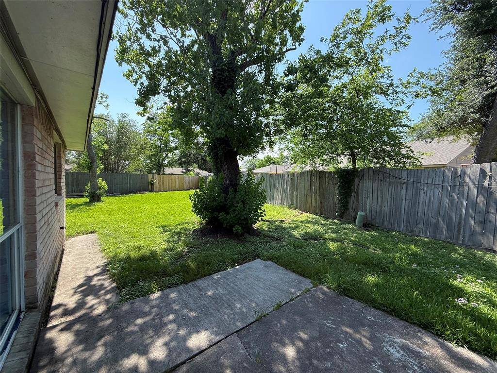View of the backyard