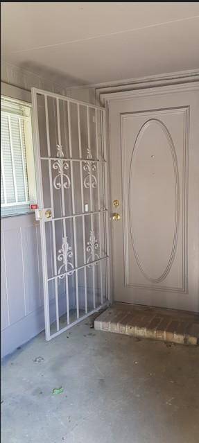 Front Door with Gate