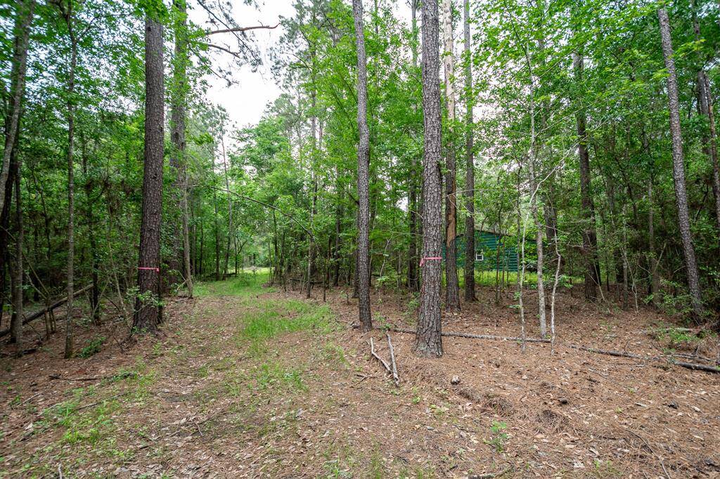 Property Image 40
