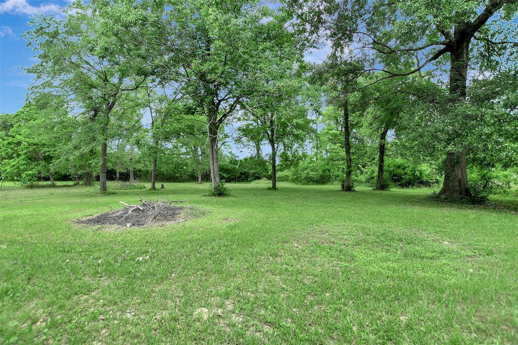 Massive backyard