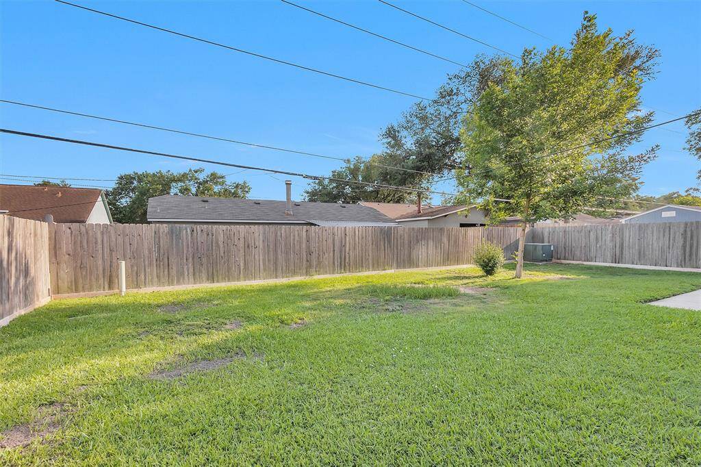 Nice shade tree in your backyard.