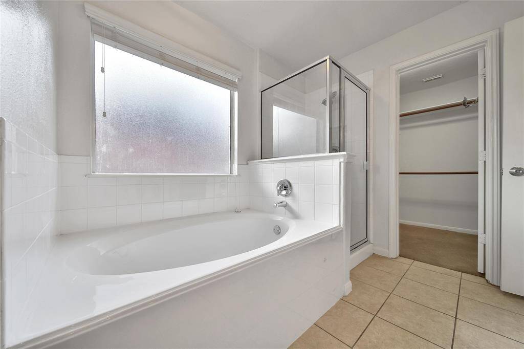 Walking shower and bathtub