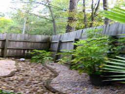 This is a view of the back of the garage! It is so pretty! Every square inch of this home and yard is gorgeous. Priced to sell in Grogan s Mill! College Park school and Hailey Elementary.