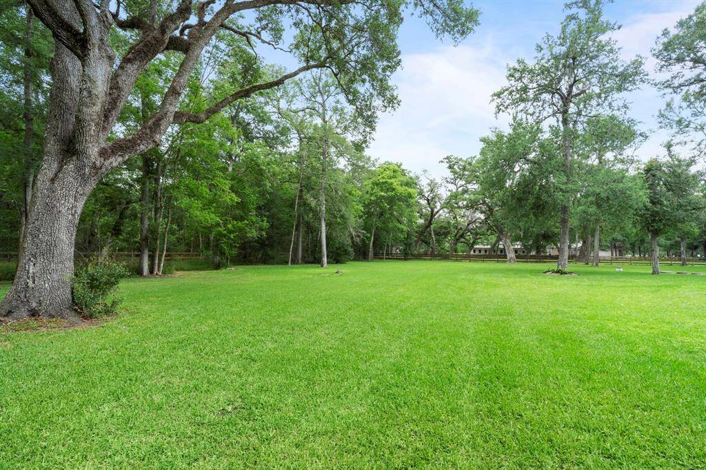 Expansive, lush green yard with mature trees, offering ample space and a serene, natural setting, perfect for outdoor activities and relaxation.