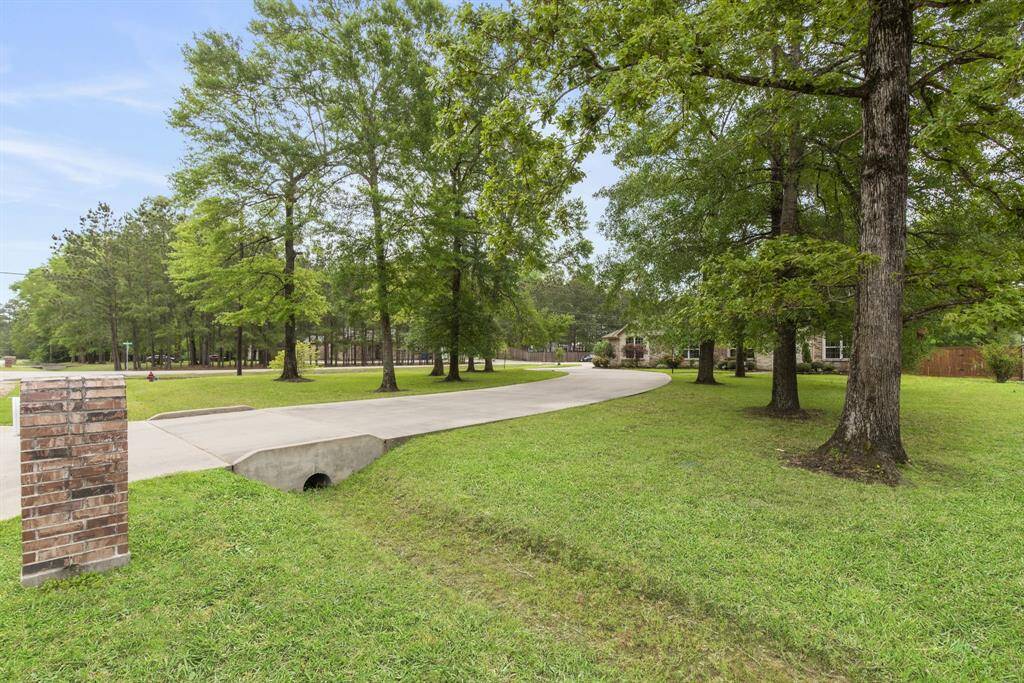 Tree lined street