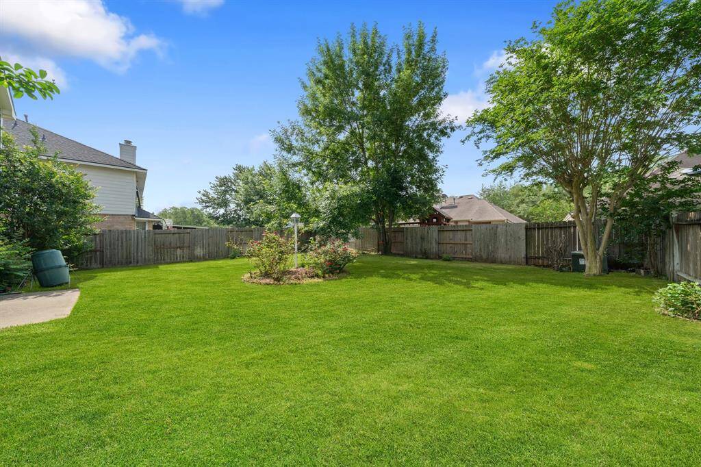 Spacious back yard greenspace.