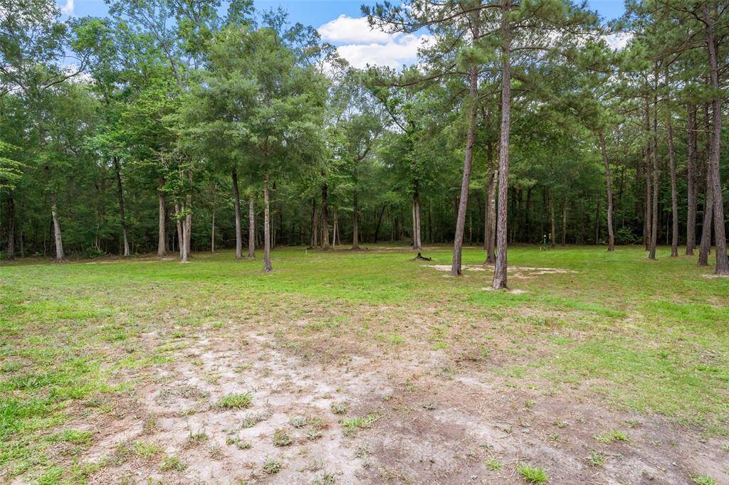 If this photo had sound, you'd hear birds singing, deer snorting in the distance, and squirrels chattering in the trees. With the big Texas sky above and complete privacy all around, it's the kind of peaceful escape that feels a world away.