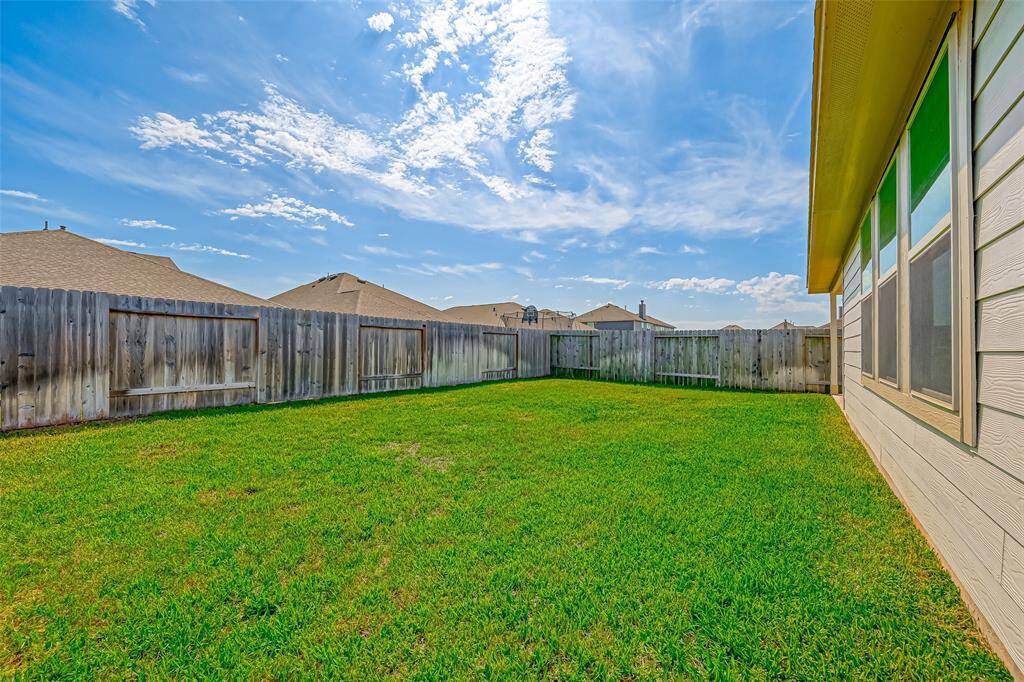 Another view of the backyard.